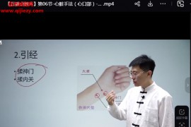 李澤波五臟點揉術視頻課程12集百度網盤下載學習